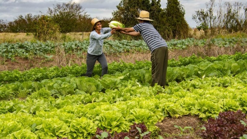 Agricultura Familiar