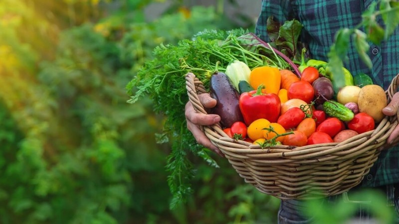 Programa de Aquisição de Alimentos (PAA)