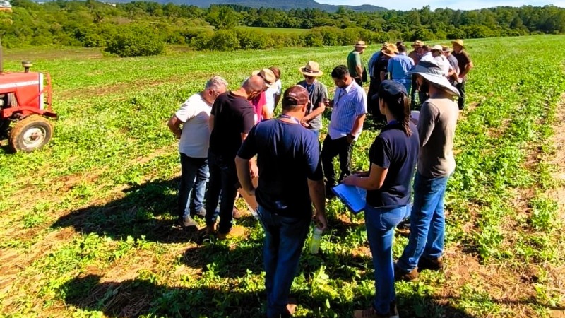 Opera&ccedil;&atilde;o Terra Forte