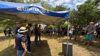 Produtores acompanham as instru&ccedil;&otilde;es do Dia de Campo
