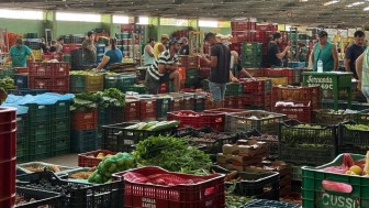 Produtores comercializam seus produtos na Ceasa/RS