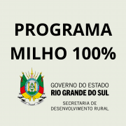 Milho 100%