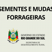 Programa Sementes e Mudas Forrageiras